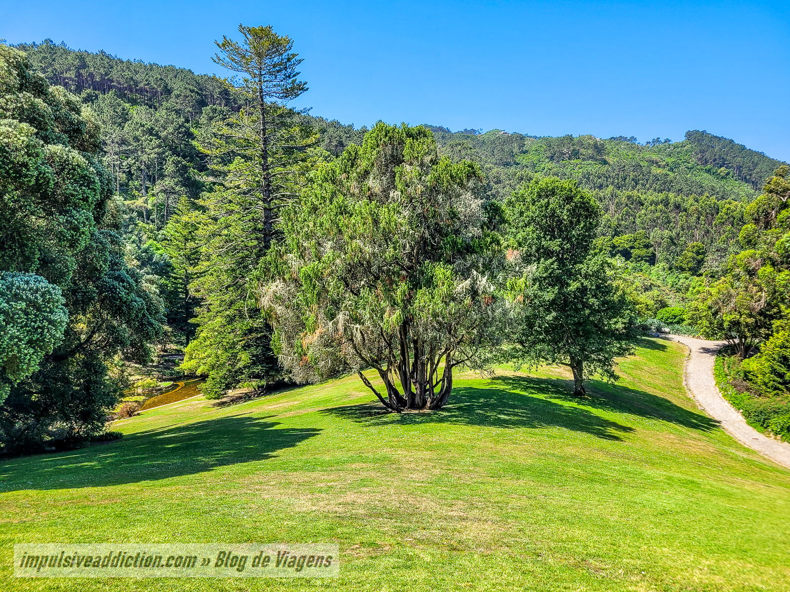 Parque do Palácio de Monserrate | Melhores parques e palácios de Sintra