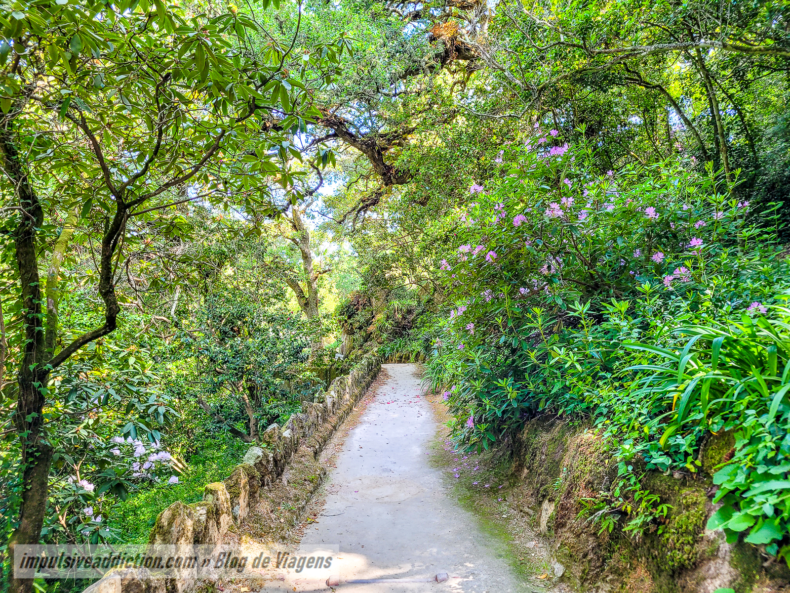 Parque do Palácio de Monserrate | Melhores parques e palácios de Sintra