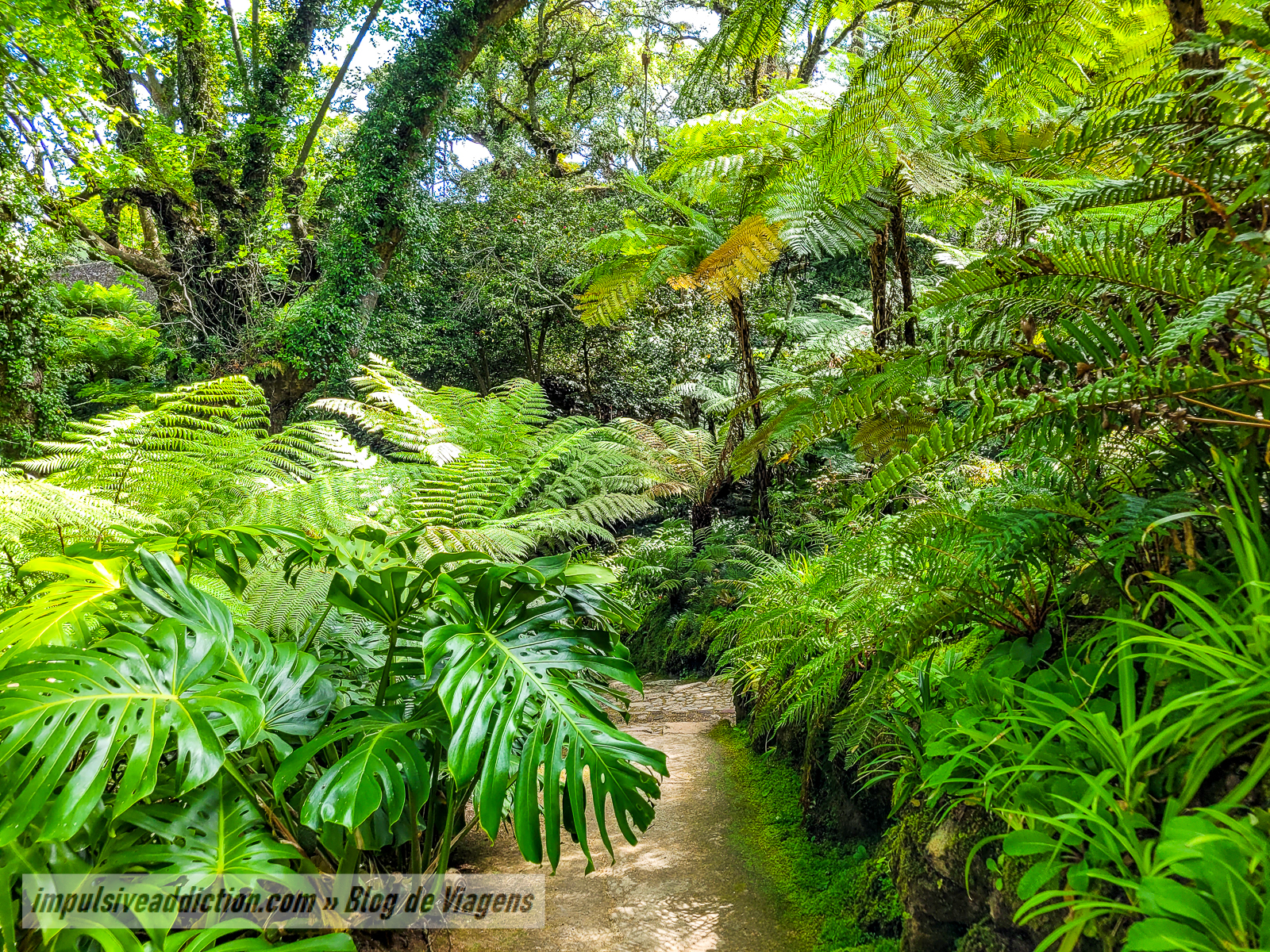 Parque do Palácio de Monserrate | Melhores parques e palácios de Sintra