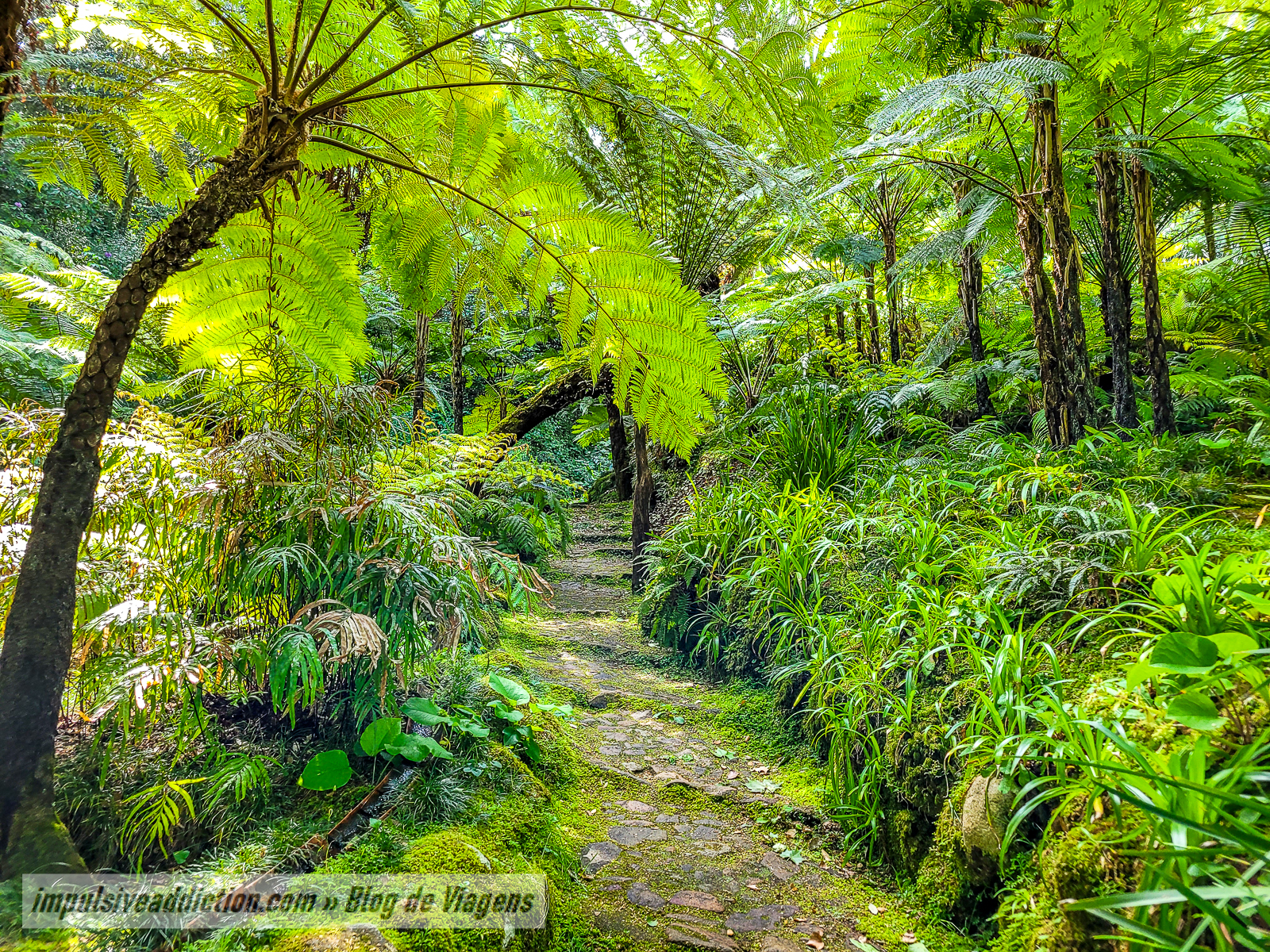 Parque do Palácio de Monserrate | Melhores parques e palácios de Sintra