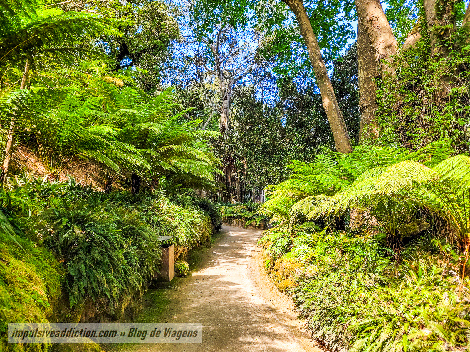 Parque do Palácio de Monserrate | Melhores parques e palácios de Sintra