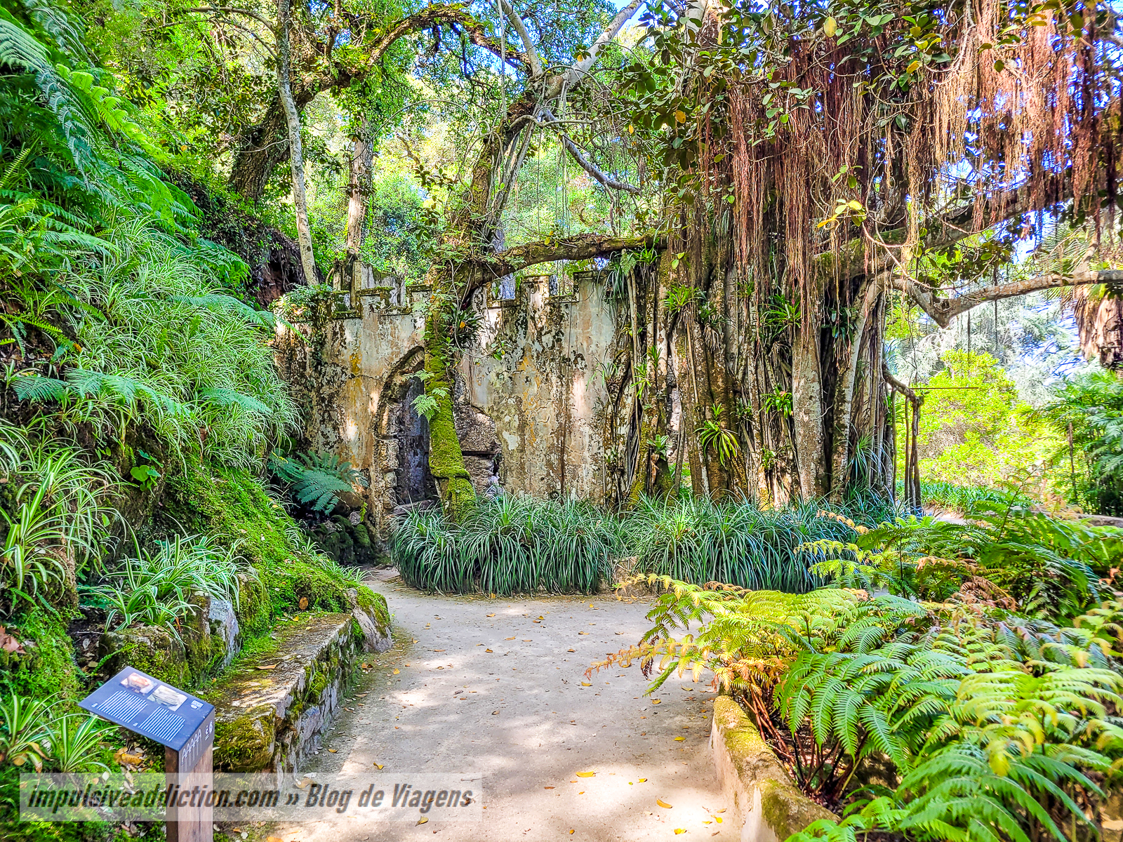 Parque do Palácio de Monserrate | Melhores parques e palácios de Sintra