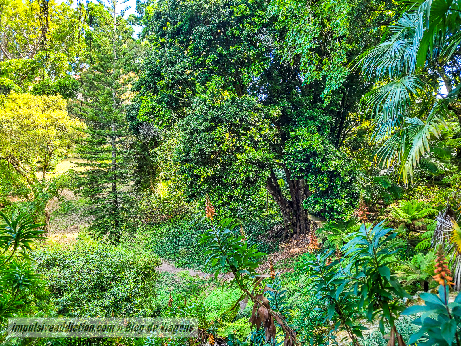 Parque do Palácio de Monserrate | Melhores parques e palácios de Sintra