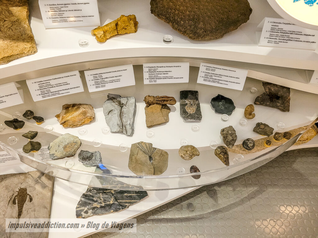 Museu de História Natural de Sintra