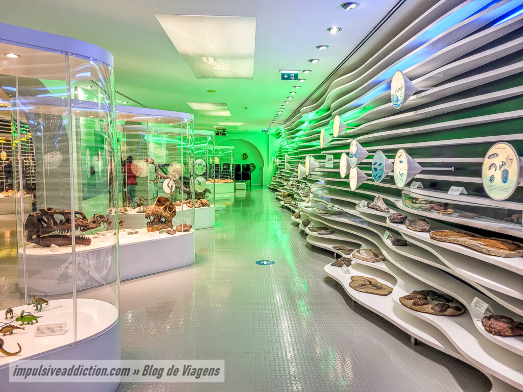 Museu de História Natural de Sintra