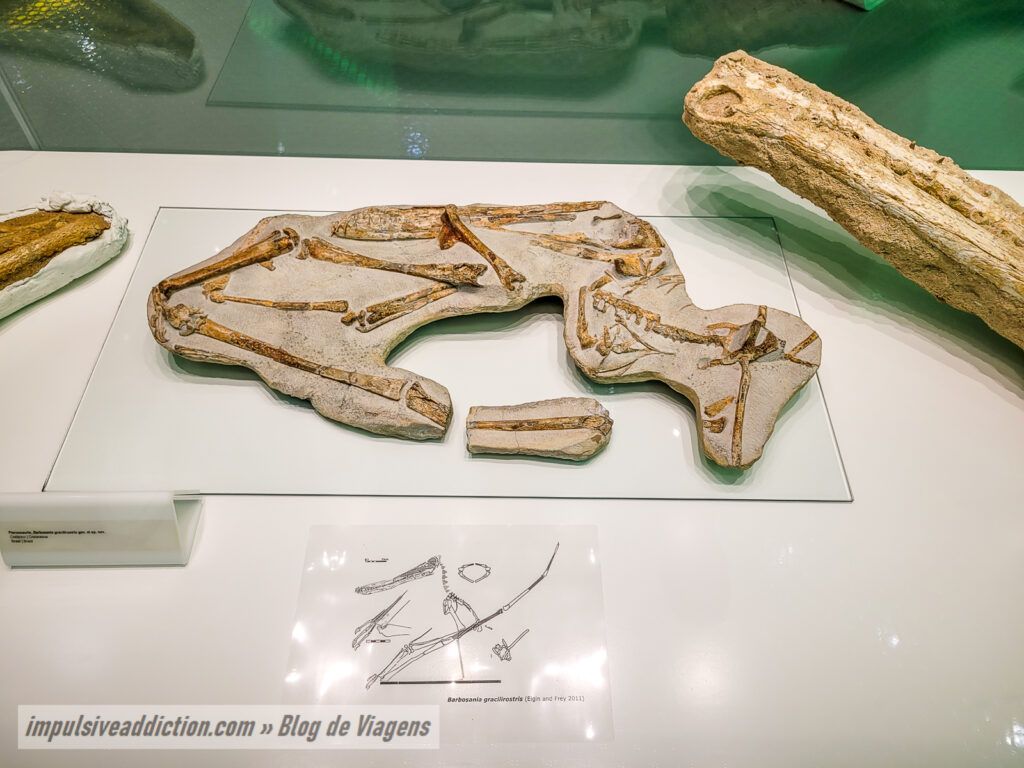 Museu de História Natural de Sintra