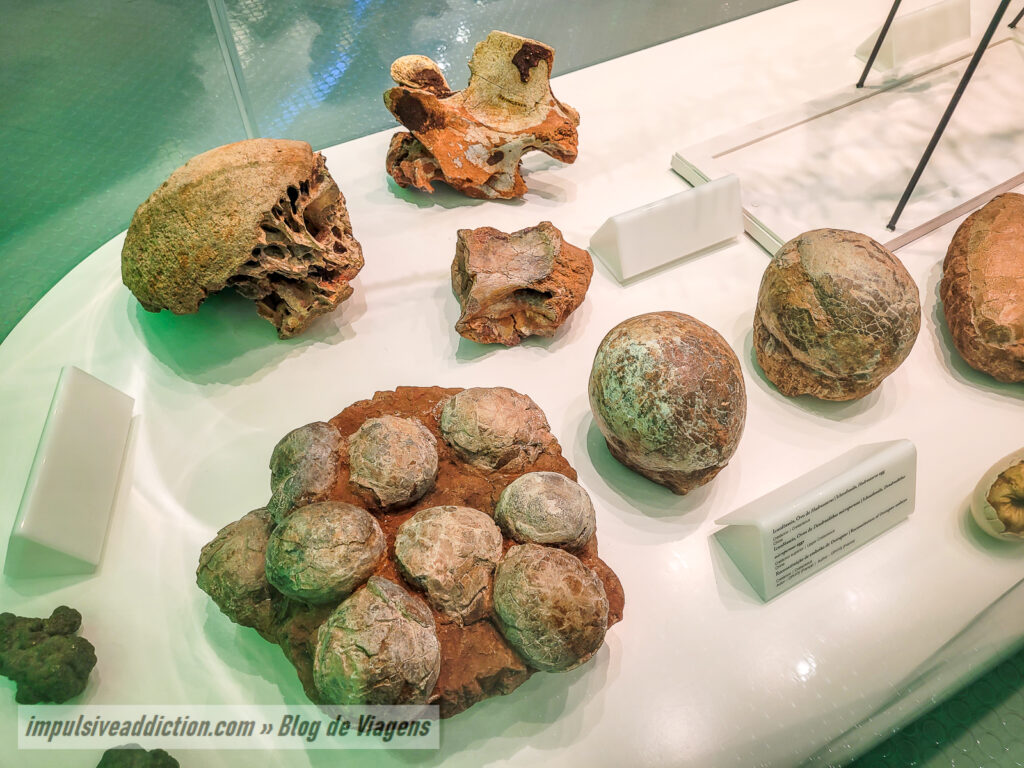 Museu de História Natural de Sintra