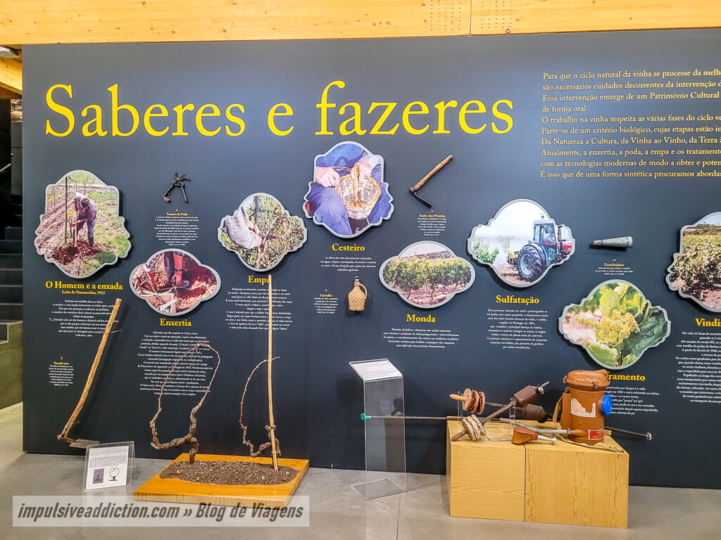 Museu do Vinho e da Vinha de Bucelas