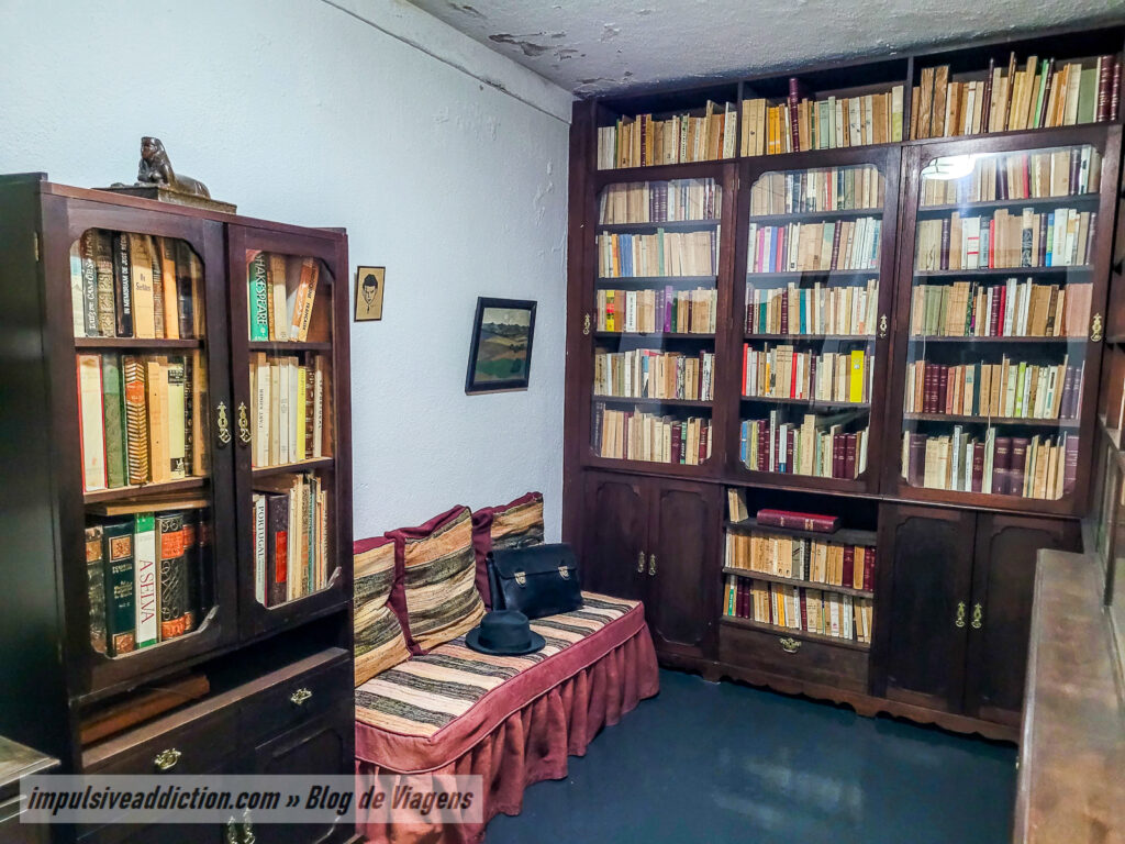 Museu Ferreira de Castro