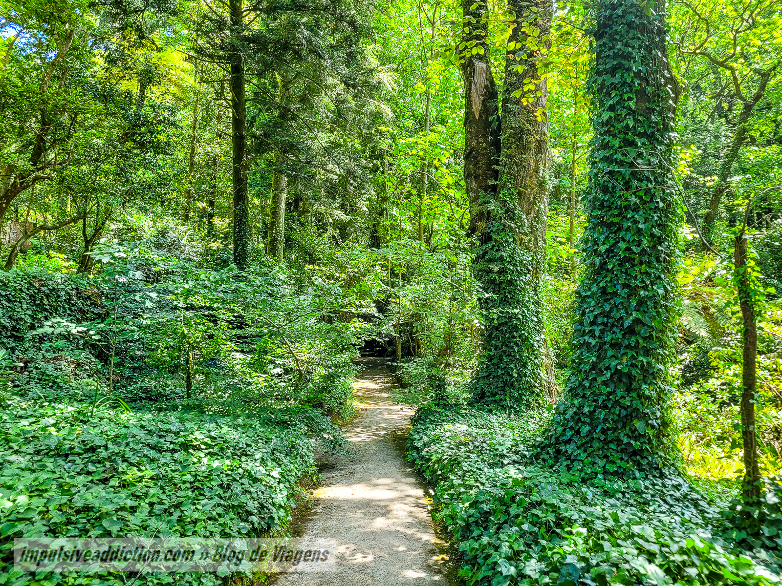 Parque da Pena | Melhores parques e palácios de Sintra