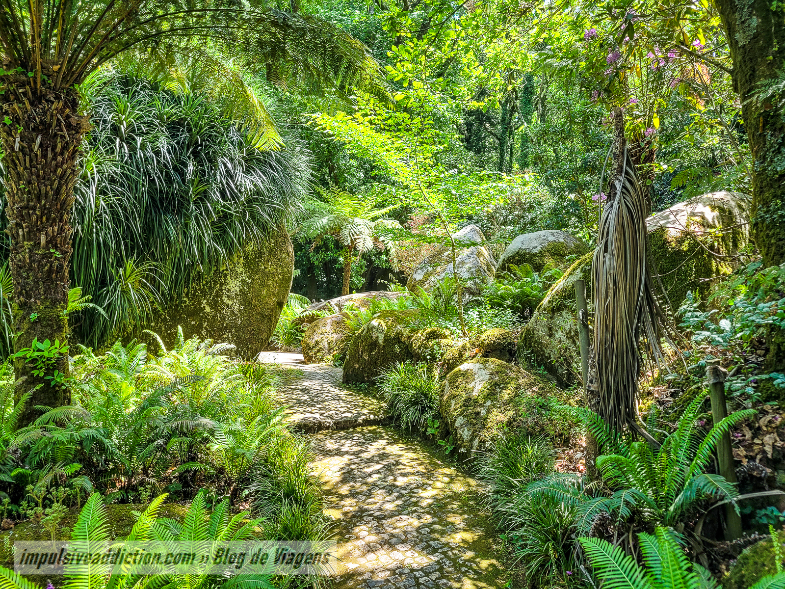 Parque da Pena | Melhores parques e palácios de Sintra