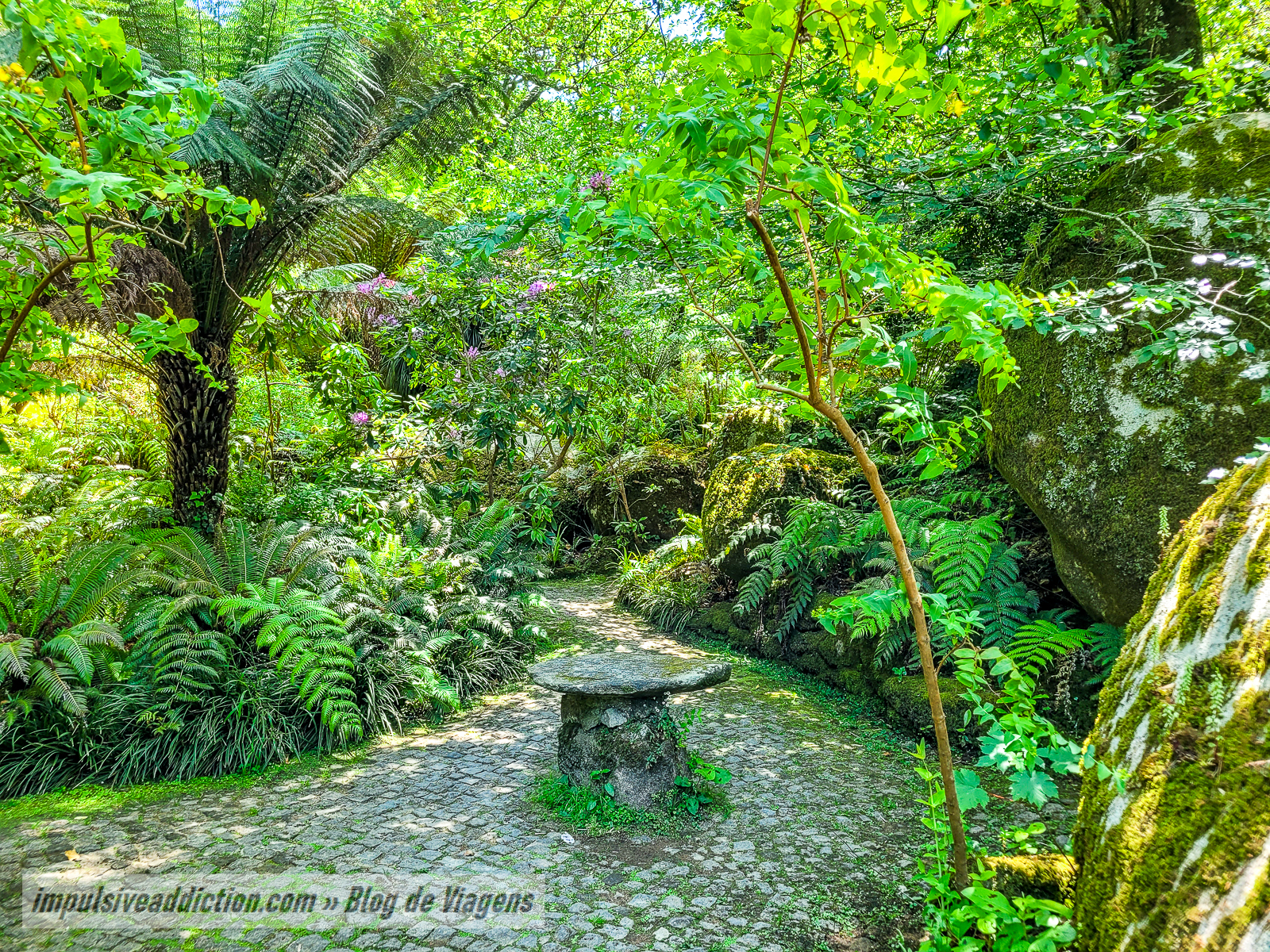 Parque da Pena | Melhores parques e palácios de Sintra