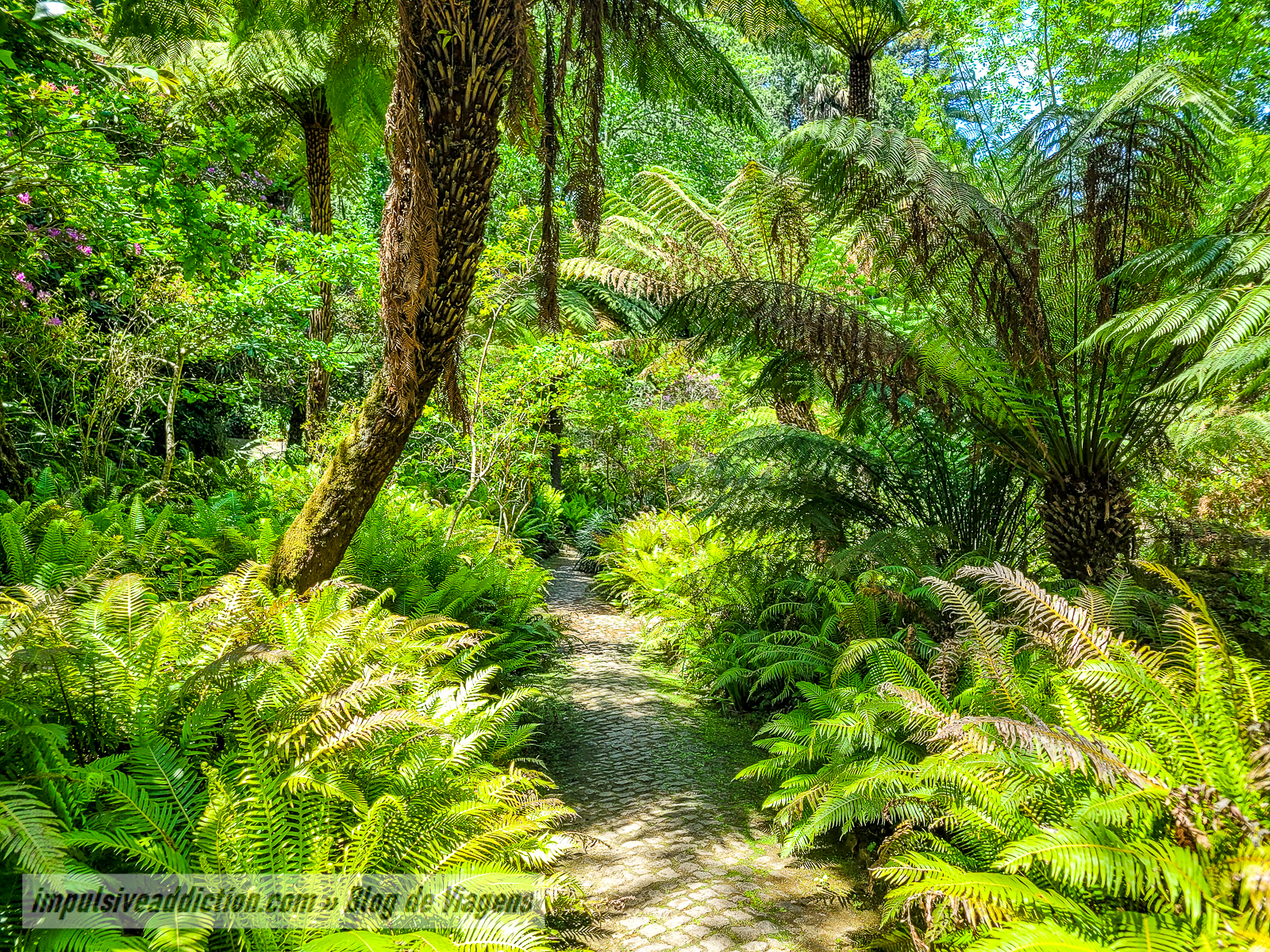 Parque da Pena | Melhores parques e palácios de Sintra