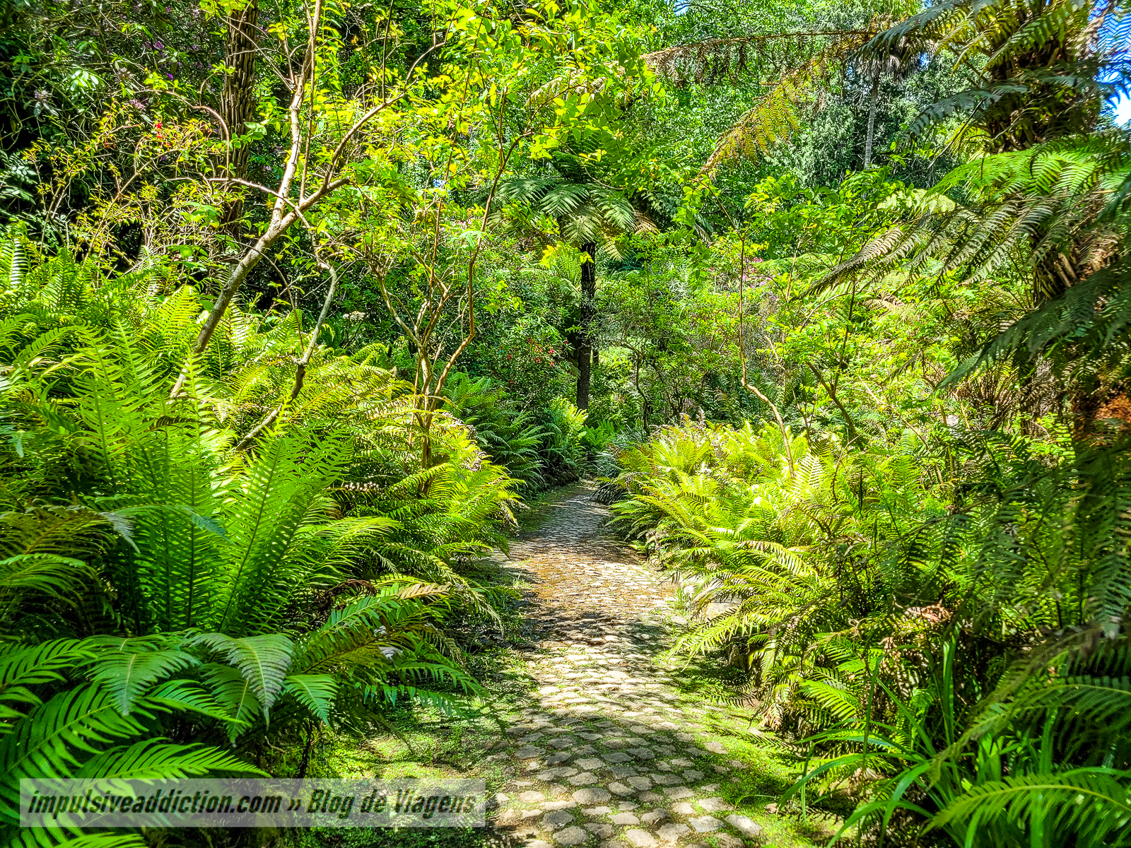 Parque da Pena | Melhores parques e palácios de Sintra