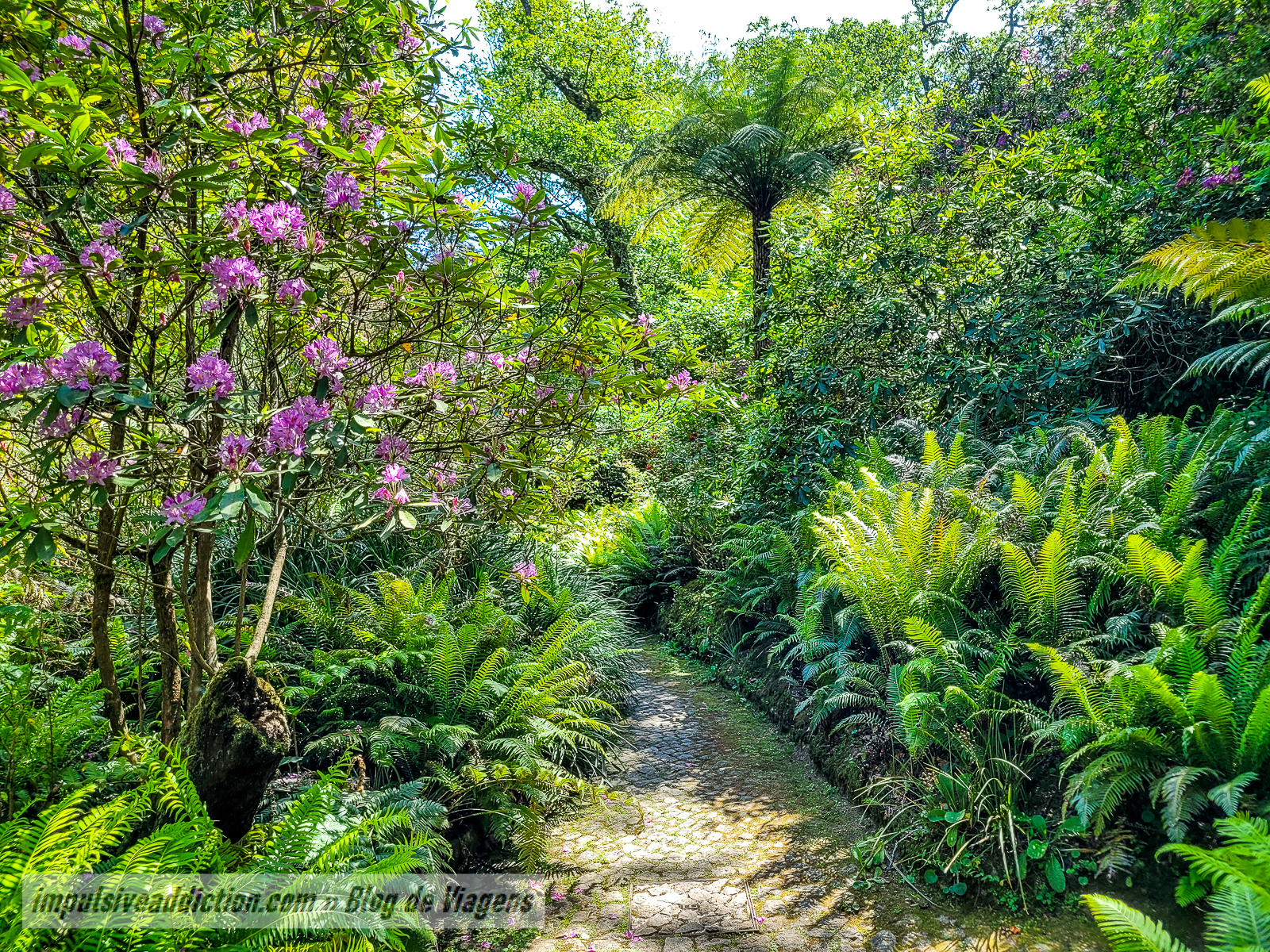 Parque da Pena | Melhores parques e palácios de Sintra