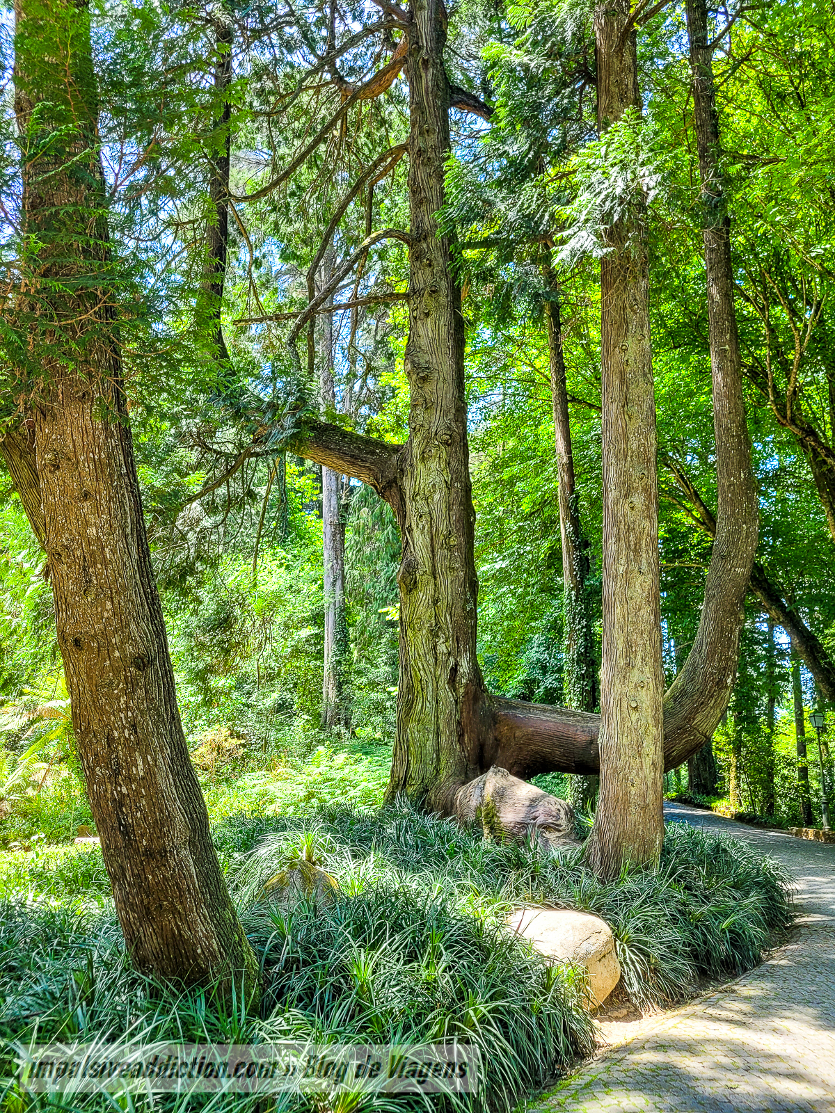 Parque da Pena | Melhores parques e palácios de Sintra