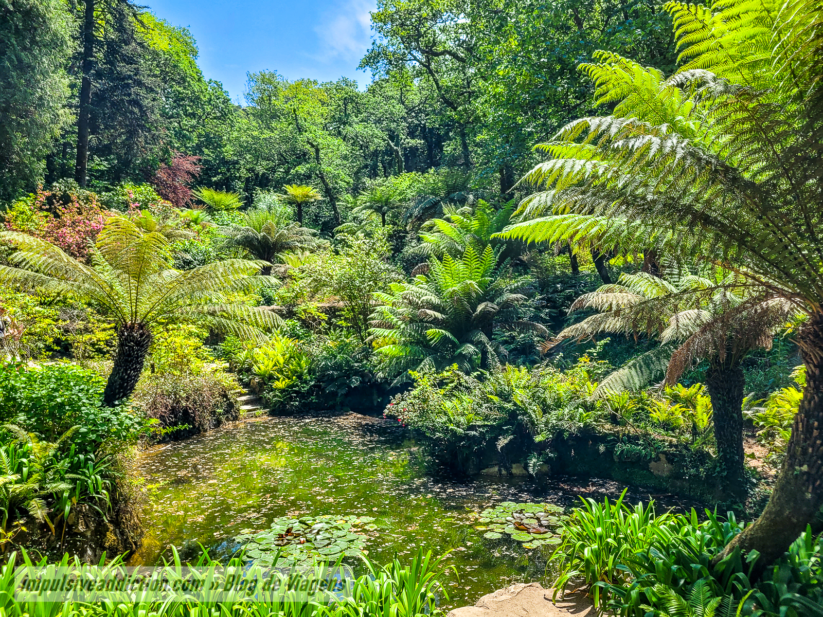 Parque da Pena | Melhores parques e palácios de Sintra
