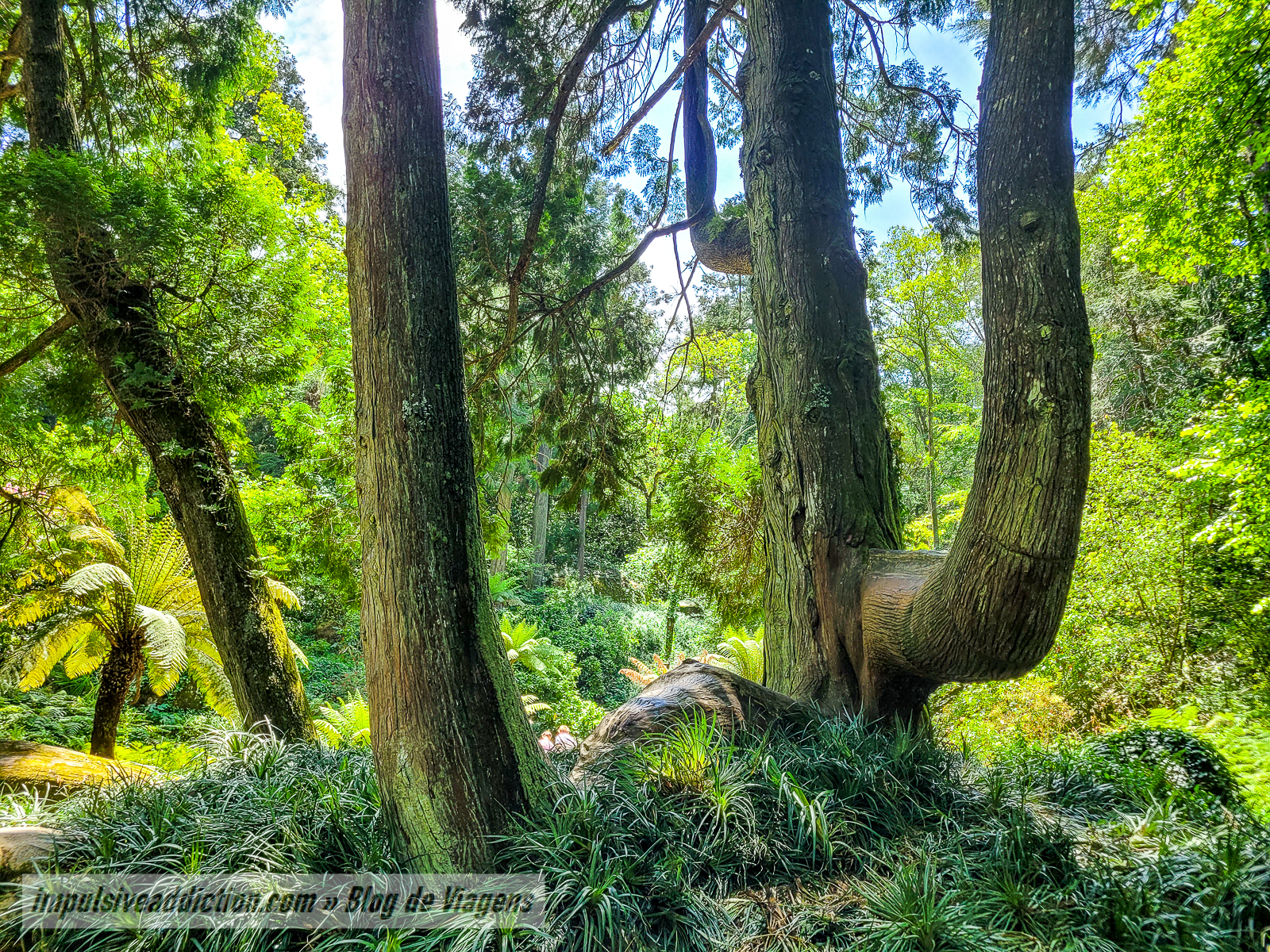 Parque da Pena | Melhores parques e palácios de Sintra
