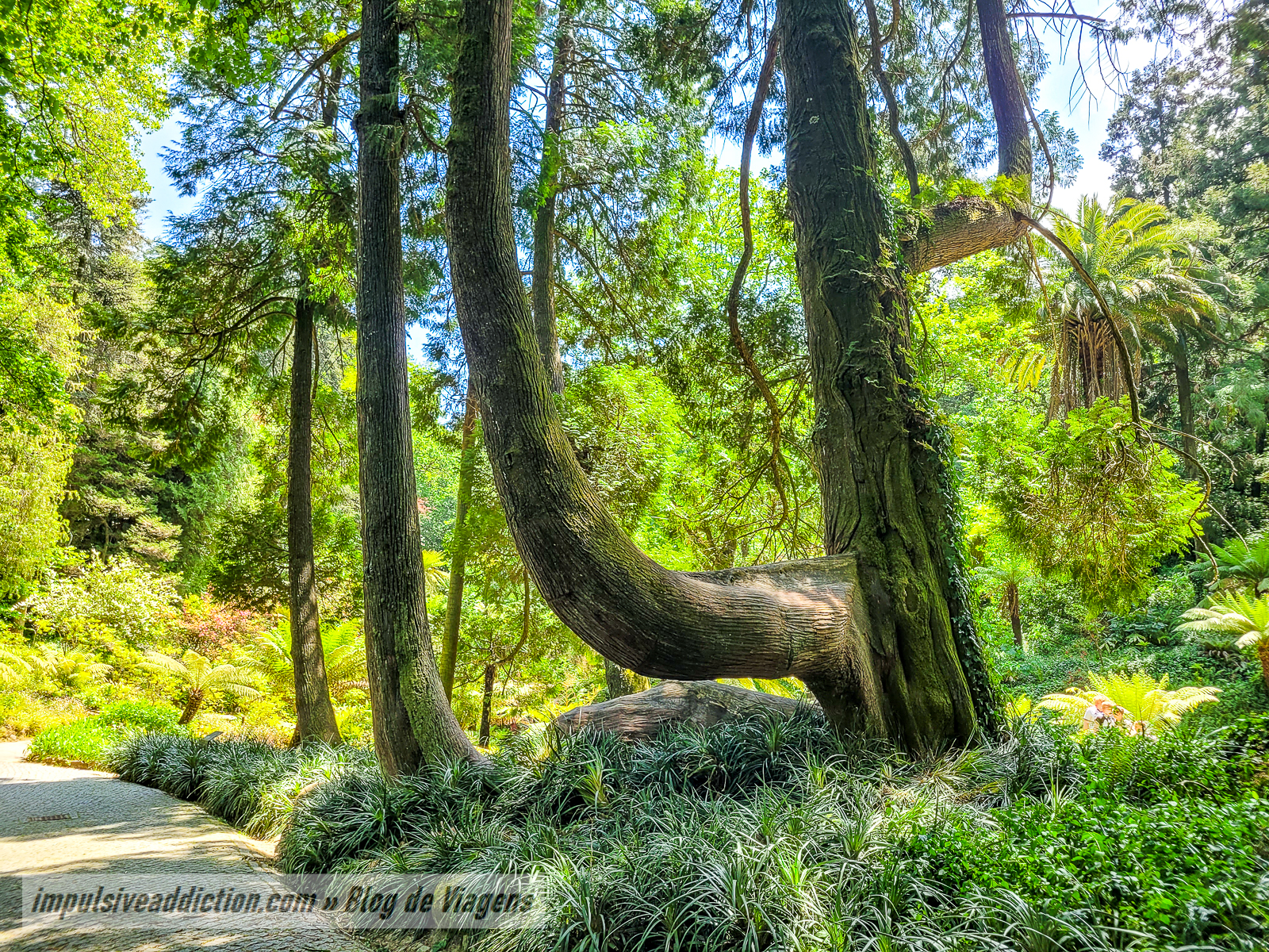 Parque da Pena | Melhores parques e palácios de Sintra