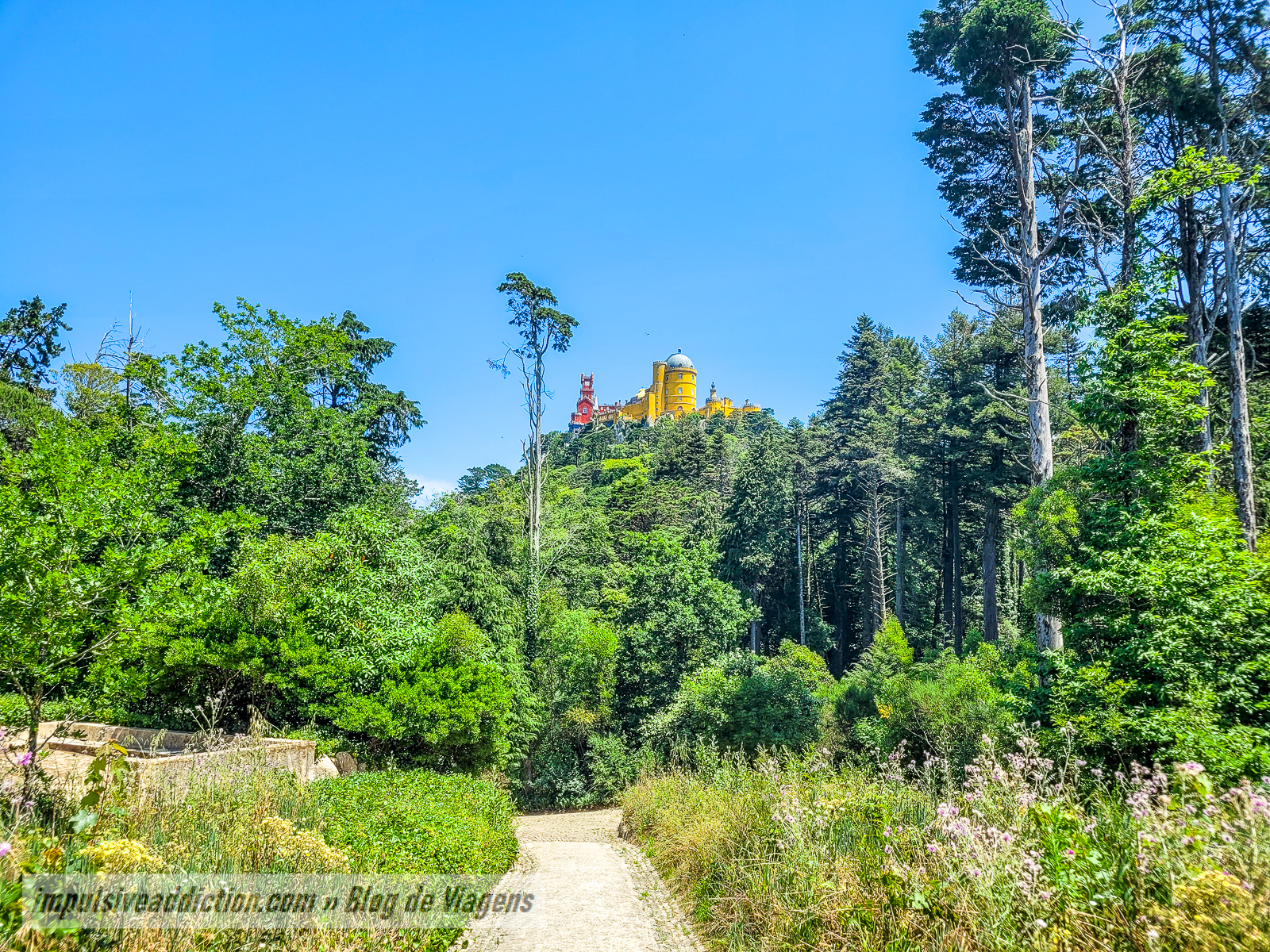 Parque da Pena | Melhores parques e palácios de Sintra