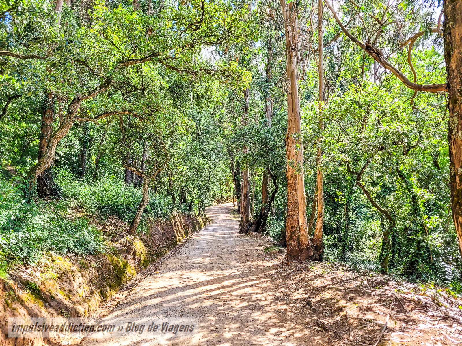 Parque do Cabeço de Montachique