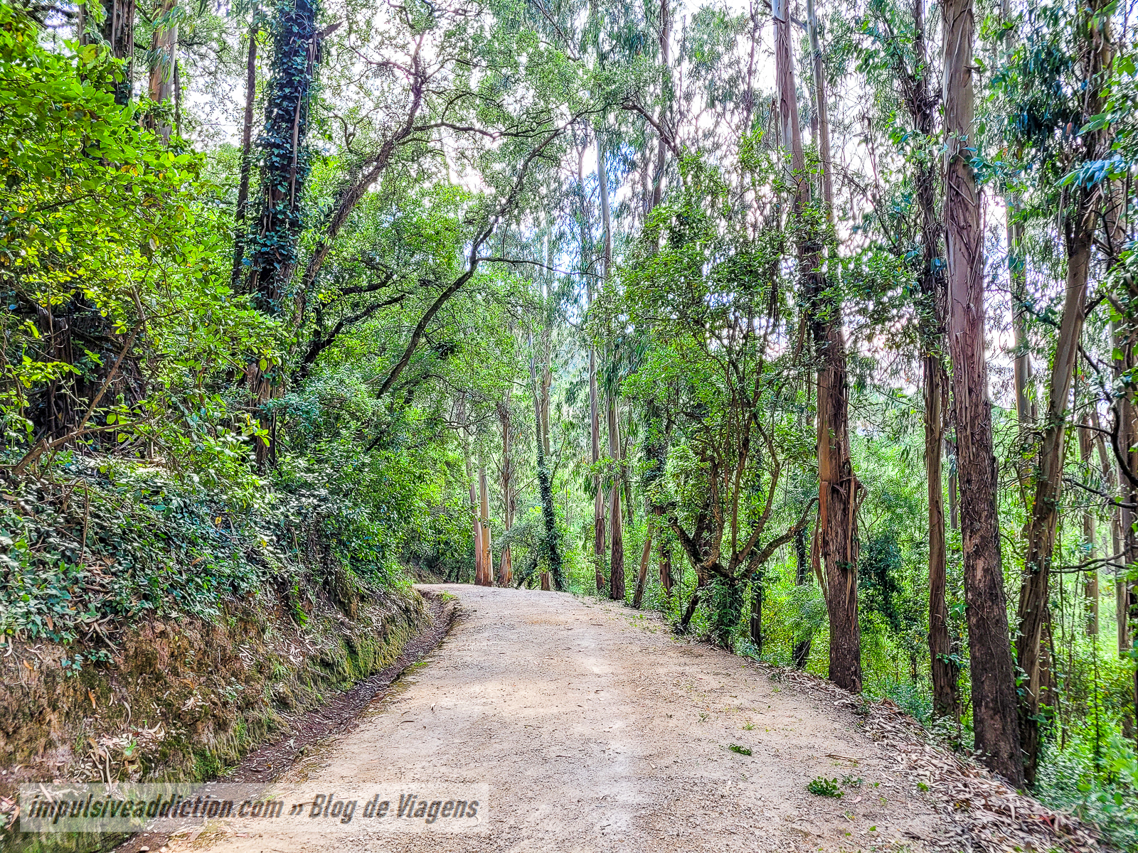 Parque do Cabeço de Montachique