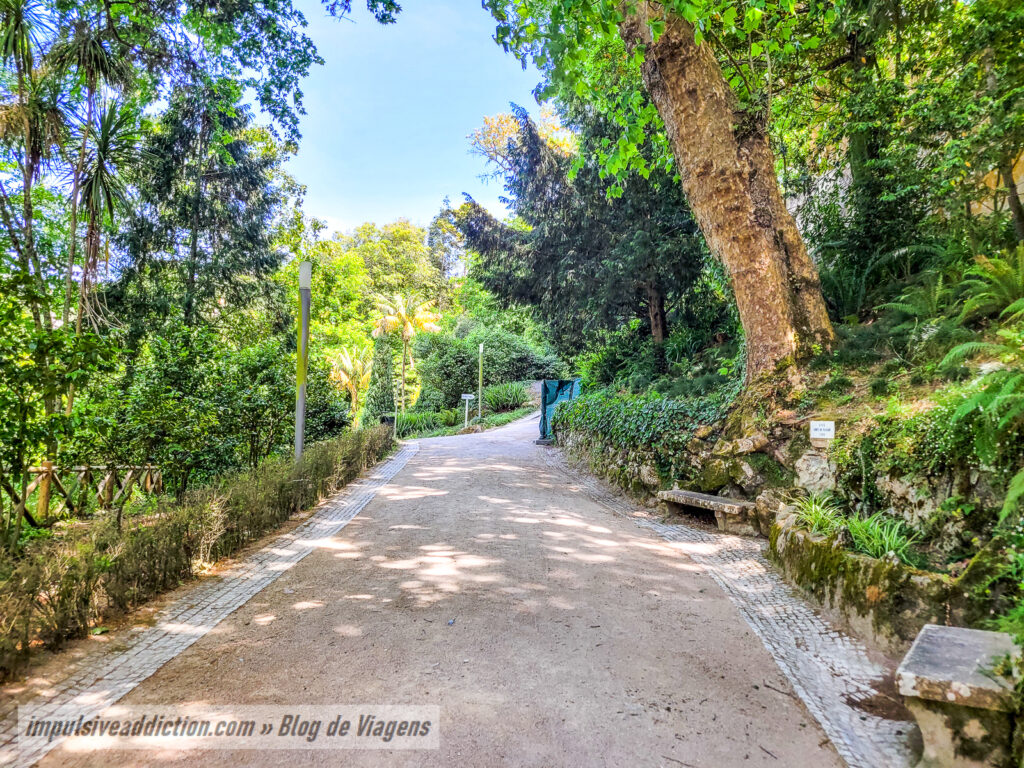 Parque da Liberdade | Melhores parques de Sintra