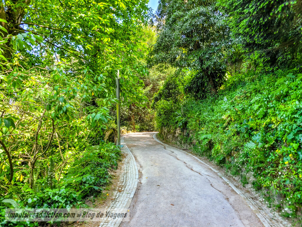 Parque da Liberdade | Melhores parques de Sintra