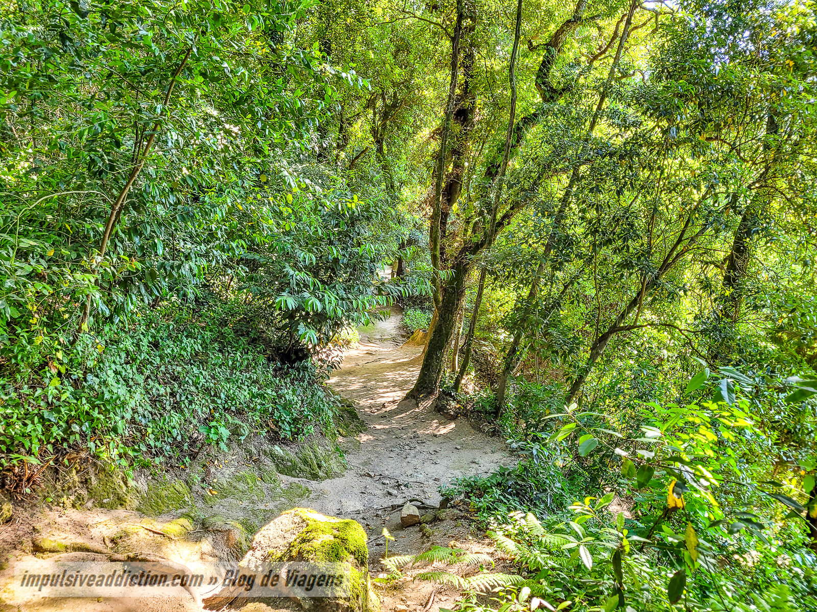 Parque de Merendas de Sintra