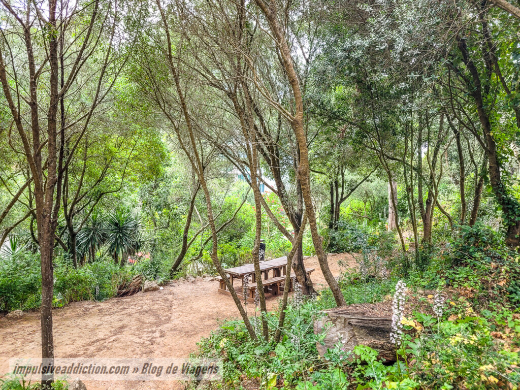 Parque de Palmela ao visitar Cascais