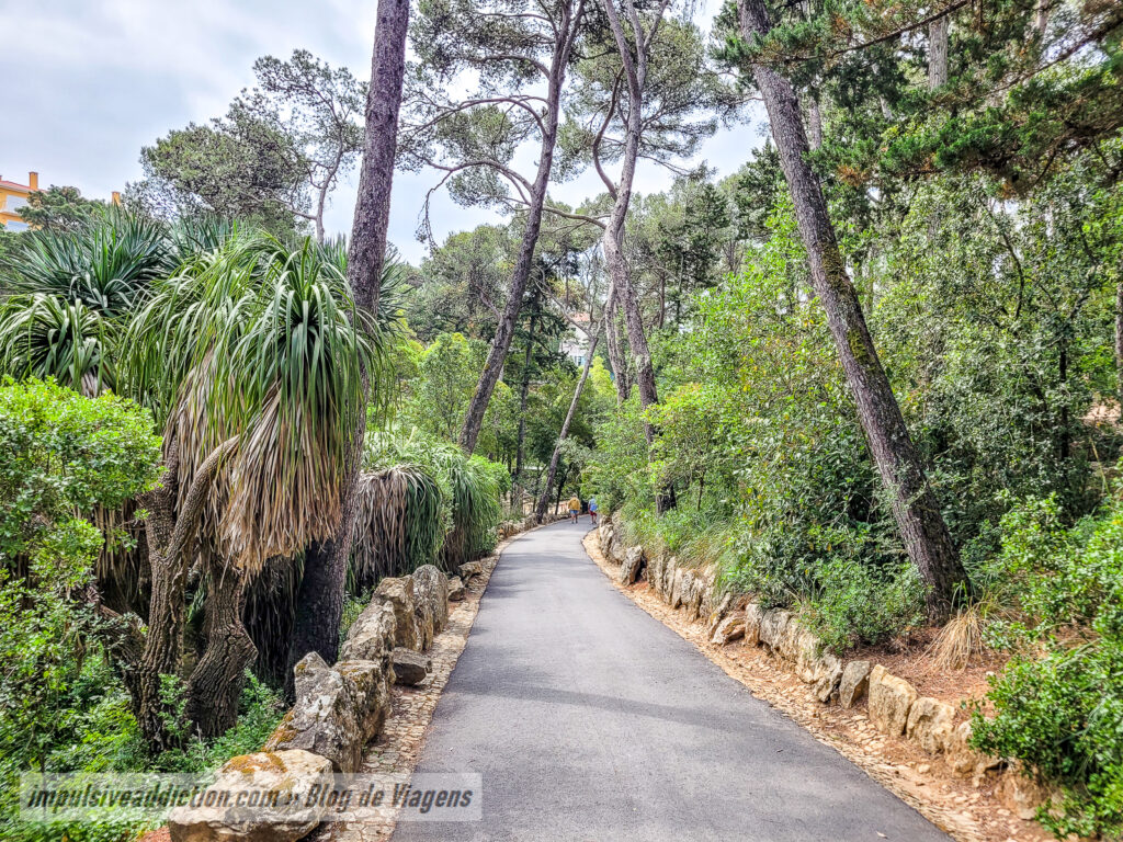Parque de Palmela ao visitar Cascais