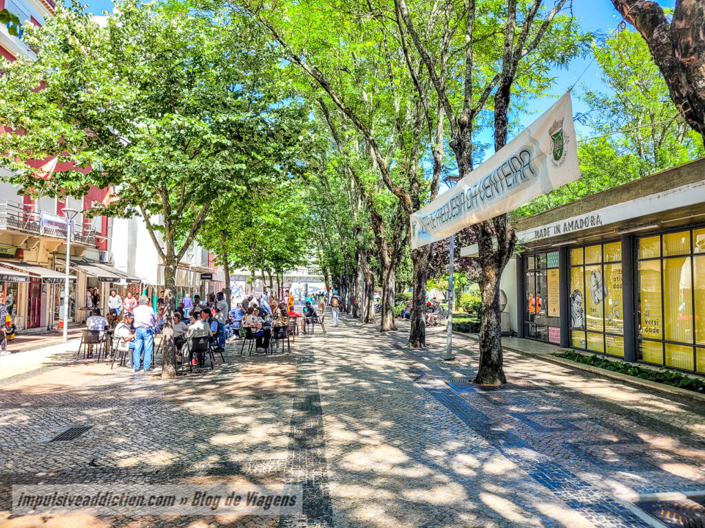 Parque Delfim Guimarães