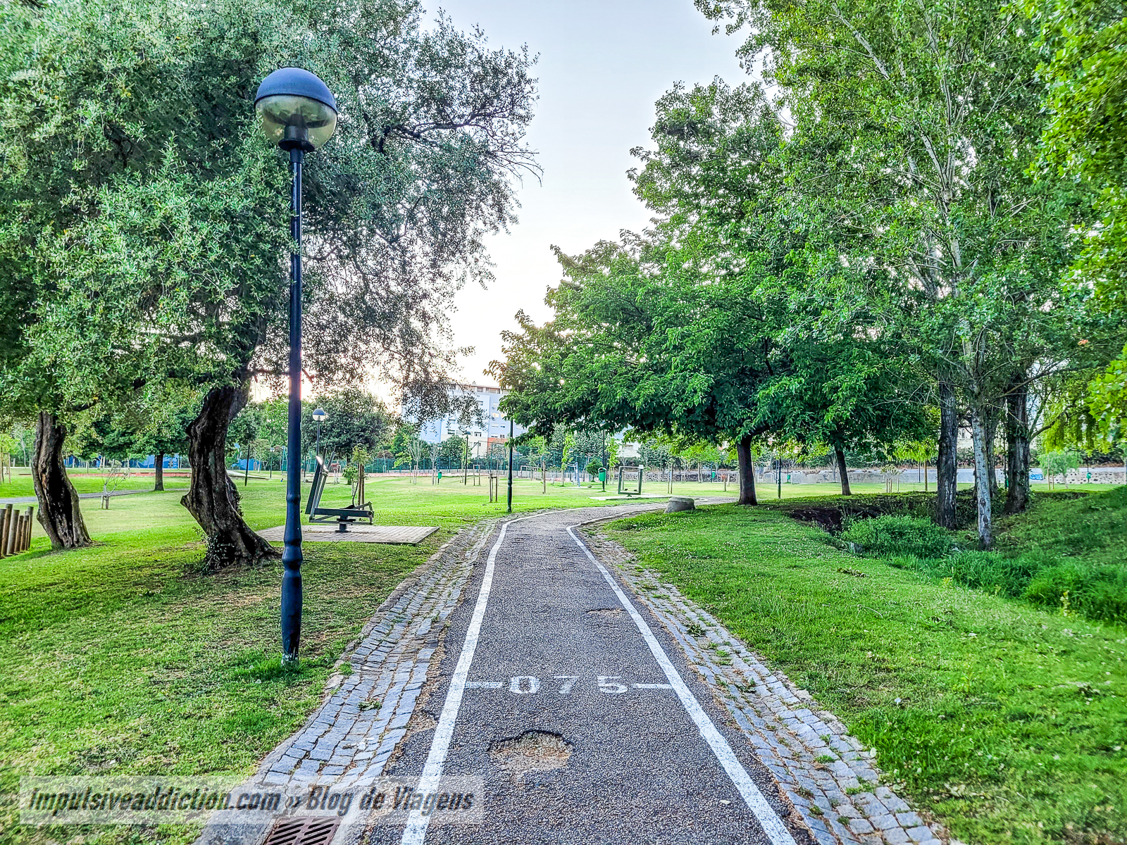 Parque do Zambujal