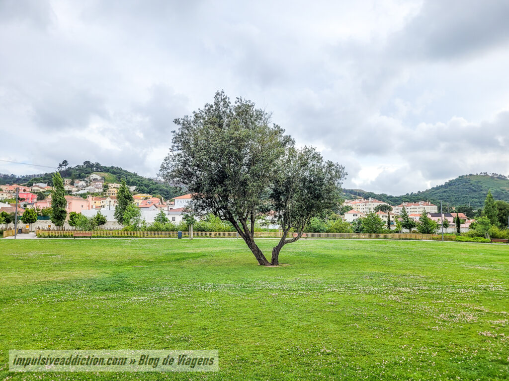 Parque Ecológico da Venda do Pinheiro