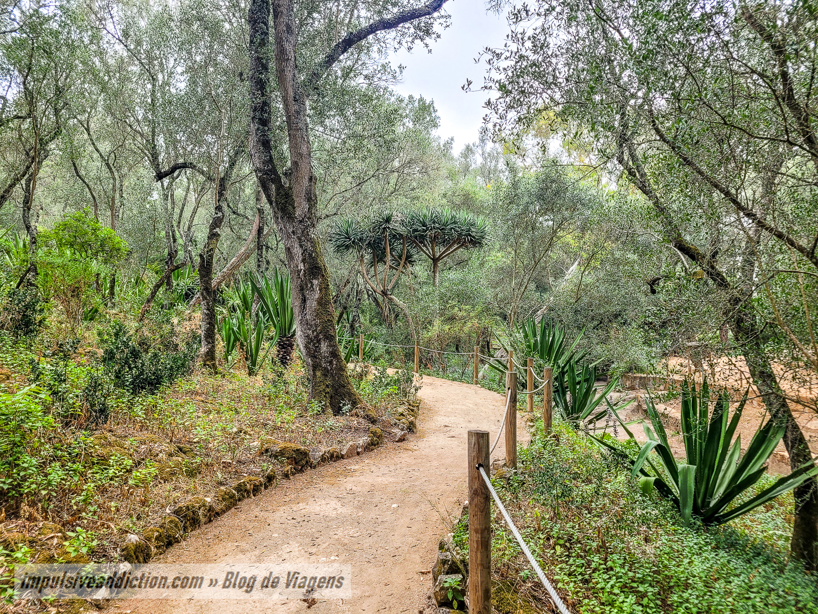 Parque Marechal Carmona