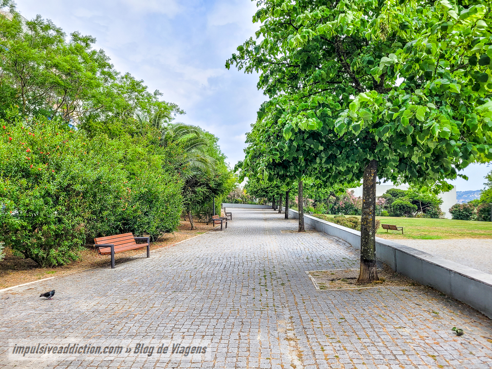Parque de Santa Catarina