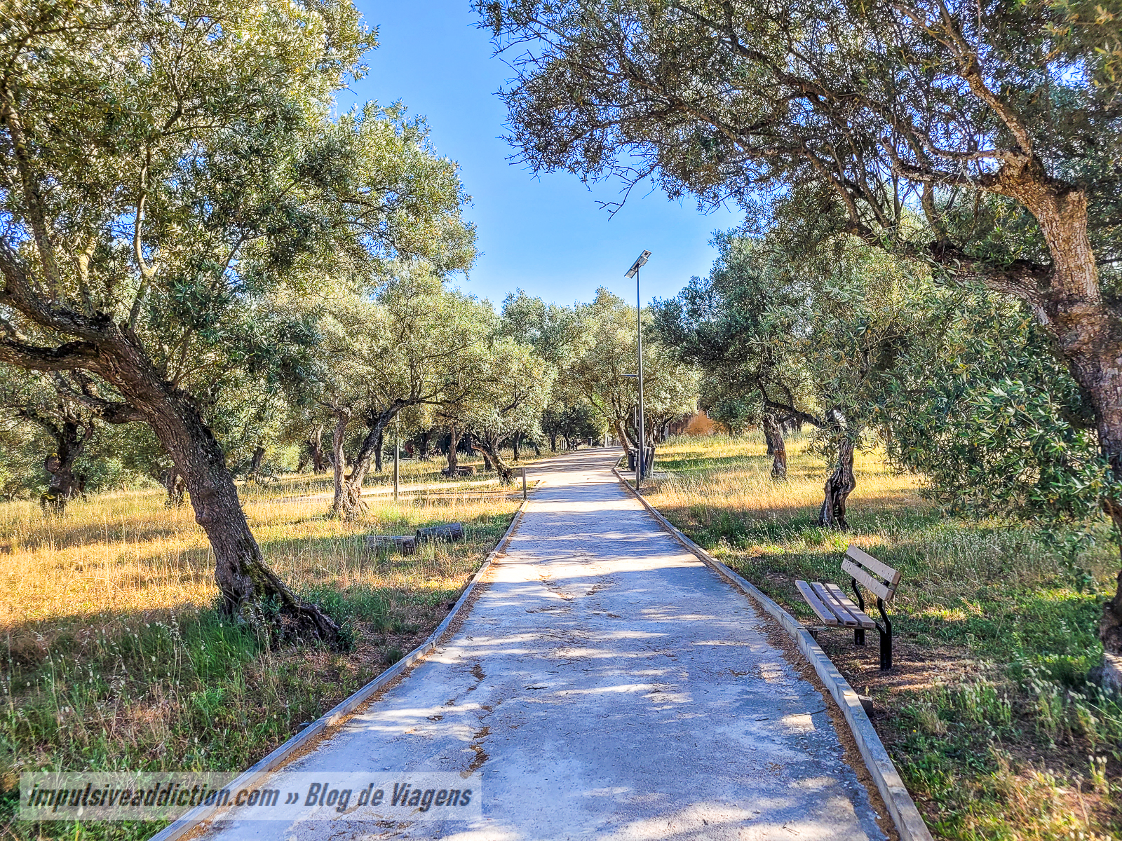 Parque da Quinta dos Remédios