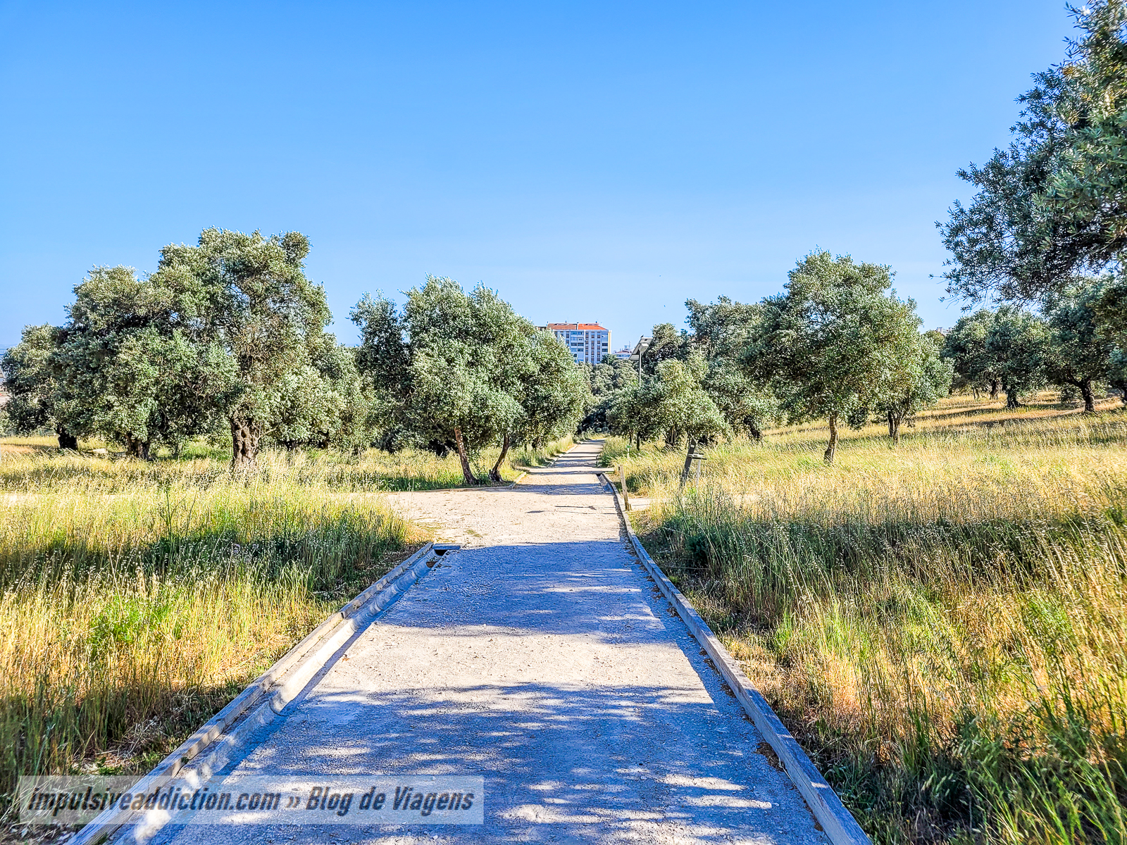 Parque da Quinta dos Remédios