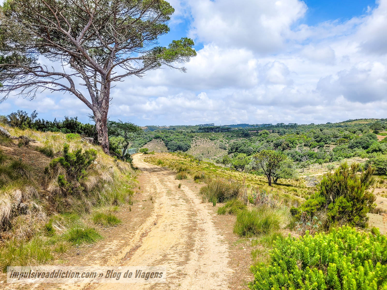 Tapada Nacional de Mafra