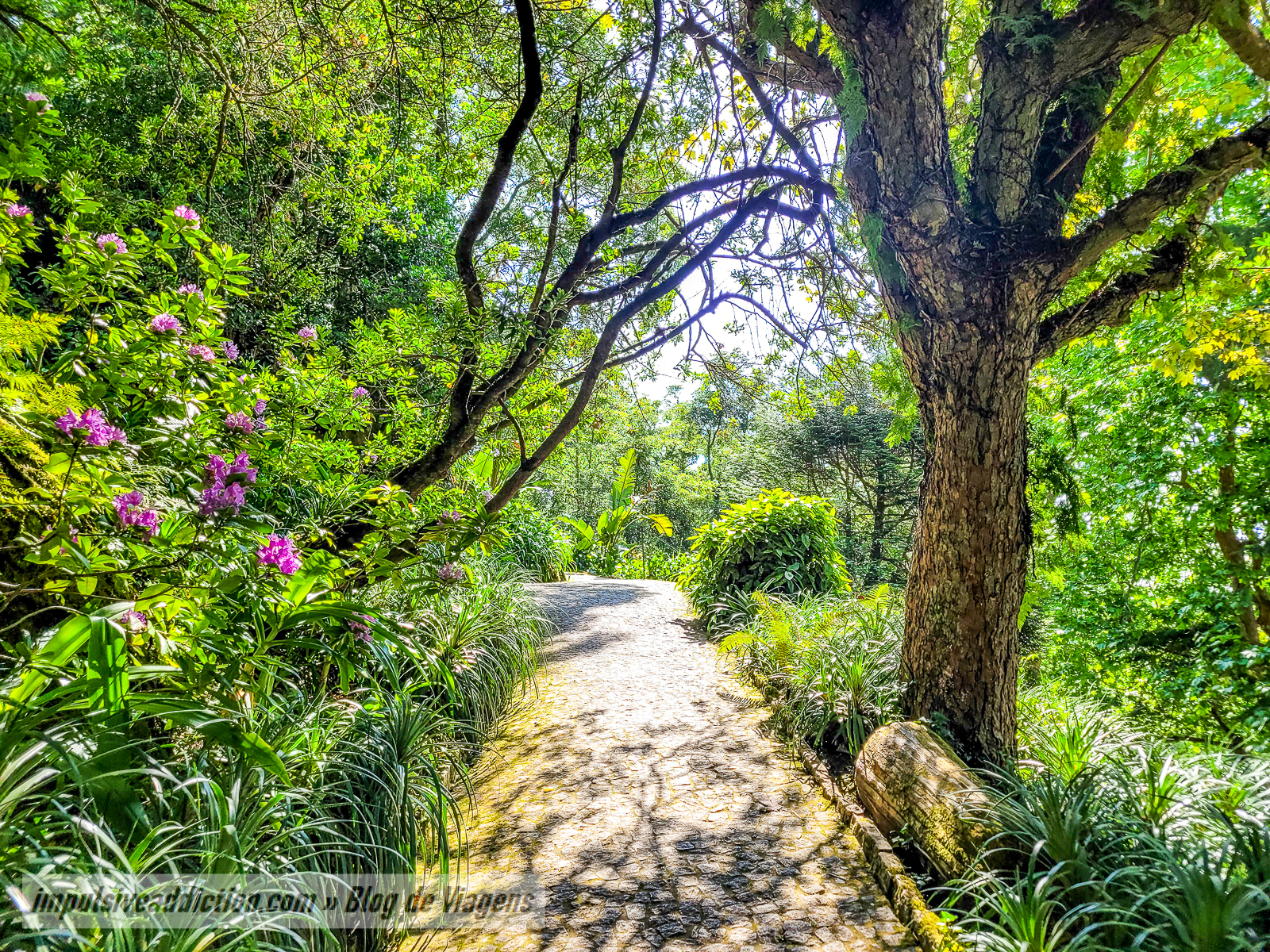 Villa Sasseti | Melhores parques e palácios de Sintra