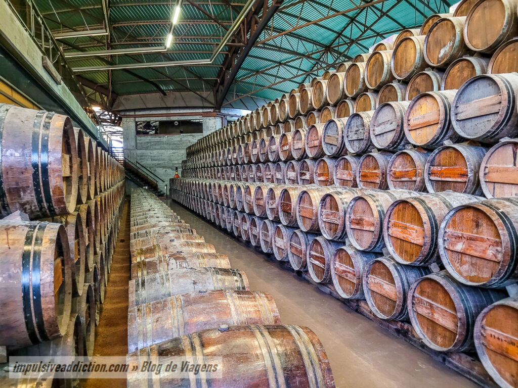 Visita à Bacalhôa em Azeitão