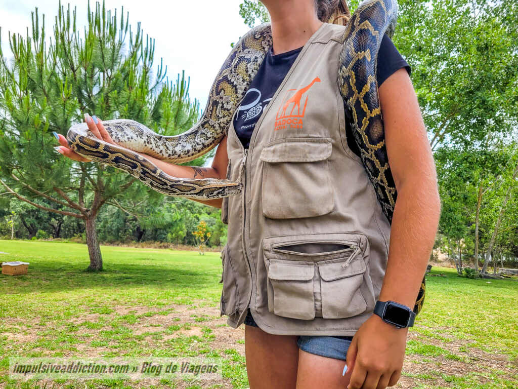 Visitar o Badoca Safari Park