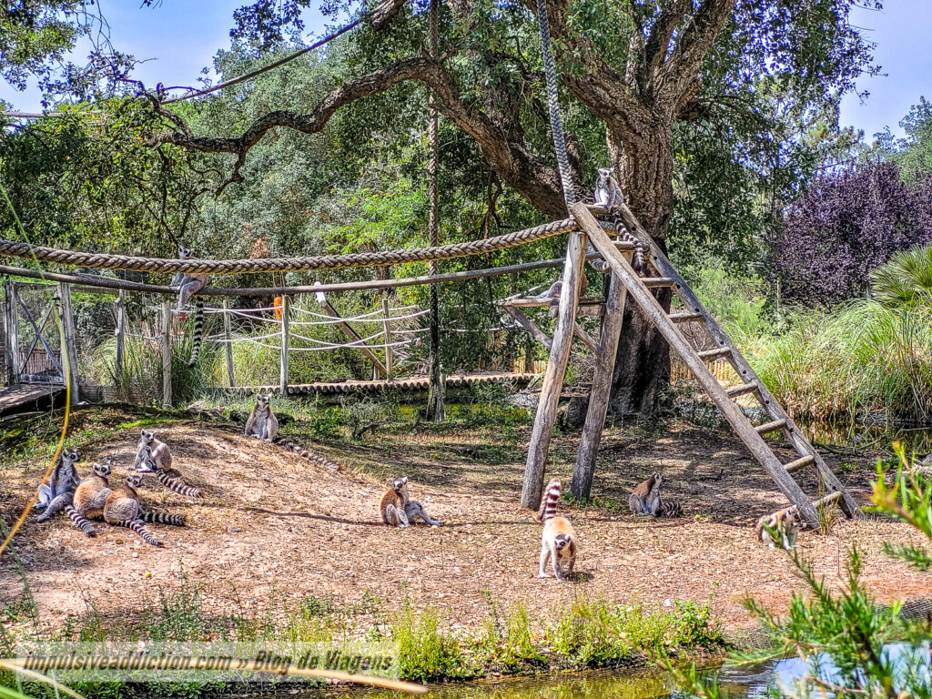 Visitar o Badoca Safari Park