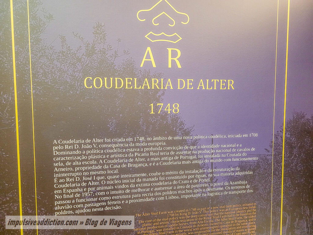 Visitar a Coudelaria Alter Real
