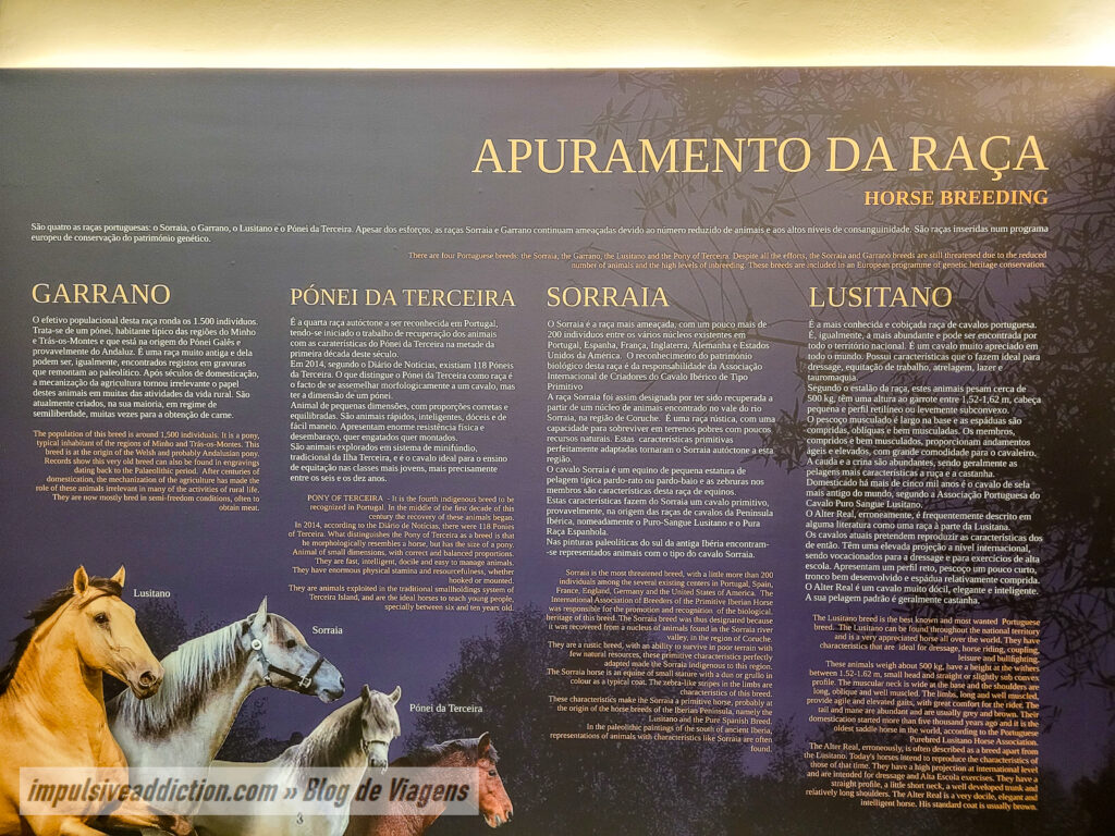 Visitar a Coudelaria Alter Real