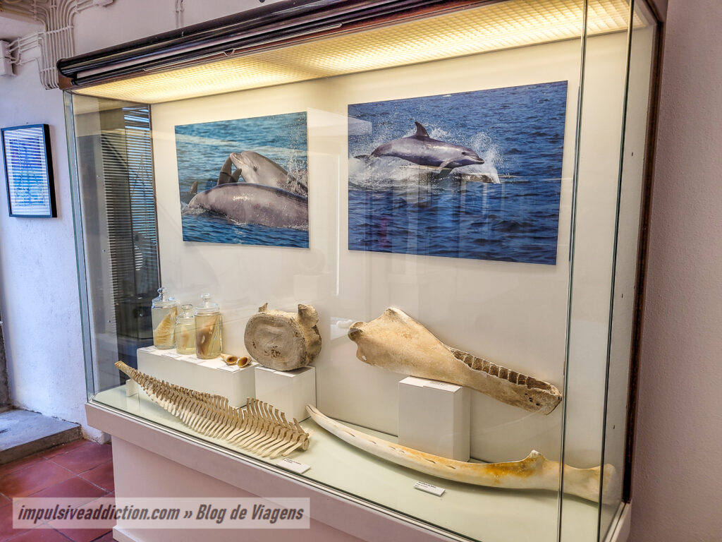Museu Marítimo do Forte de Santa Maria da Arrábida
