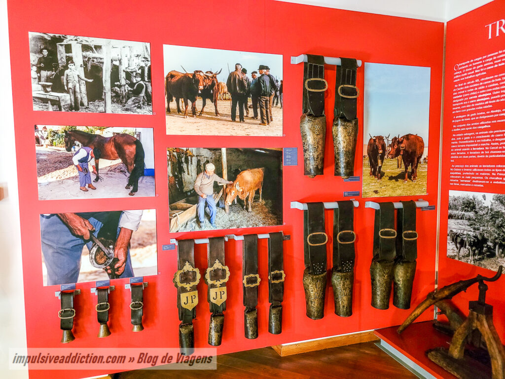 Museu Rural de Abela