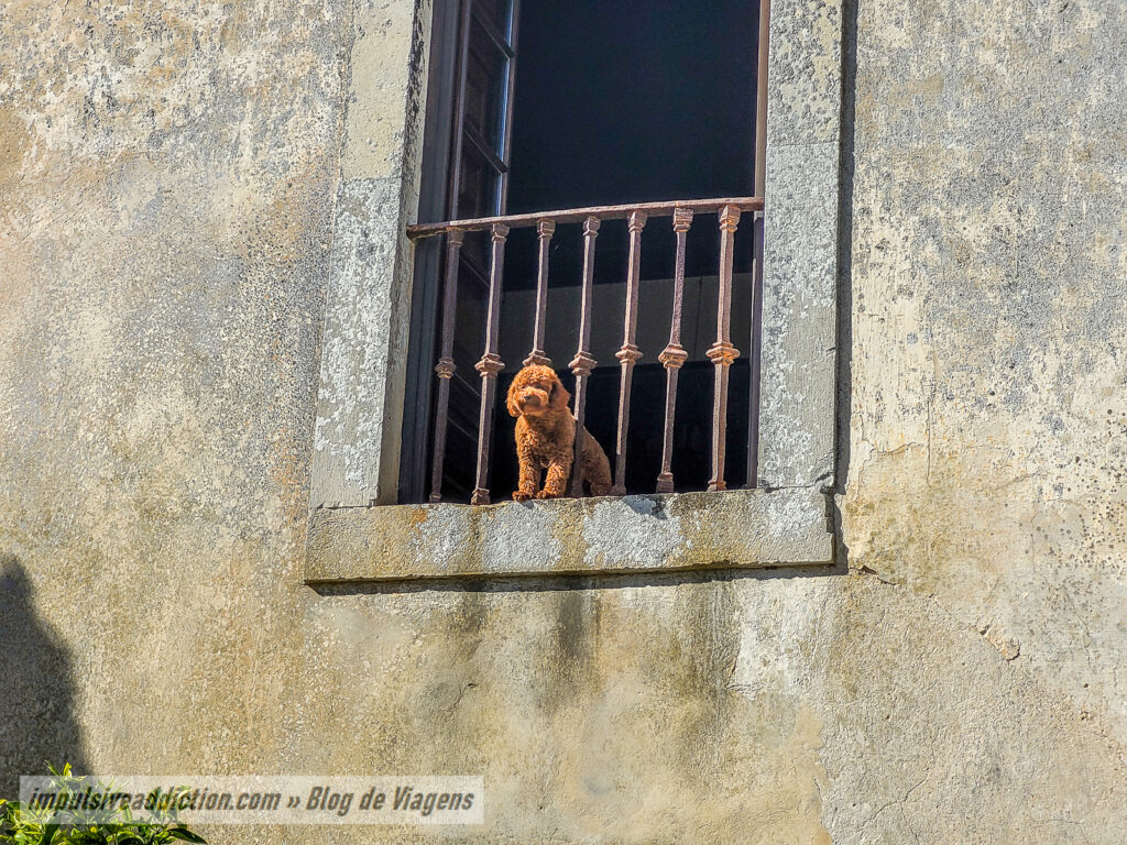 Visita ao Palácio da Bacalhôa em Azeitão