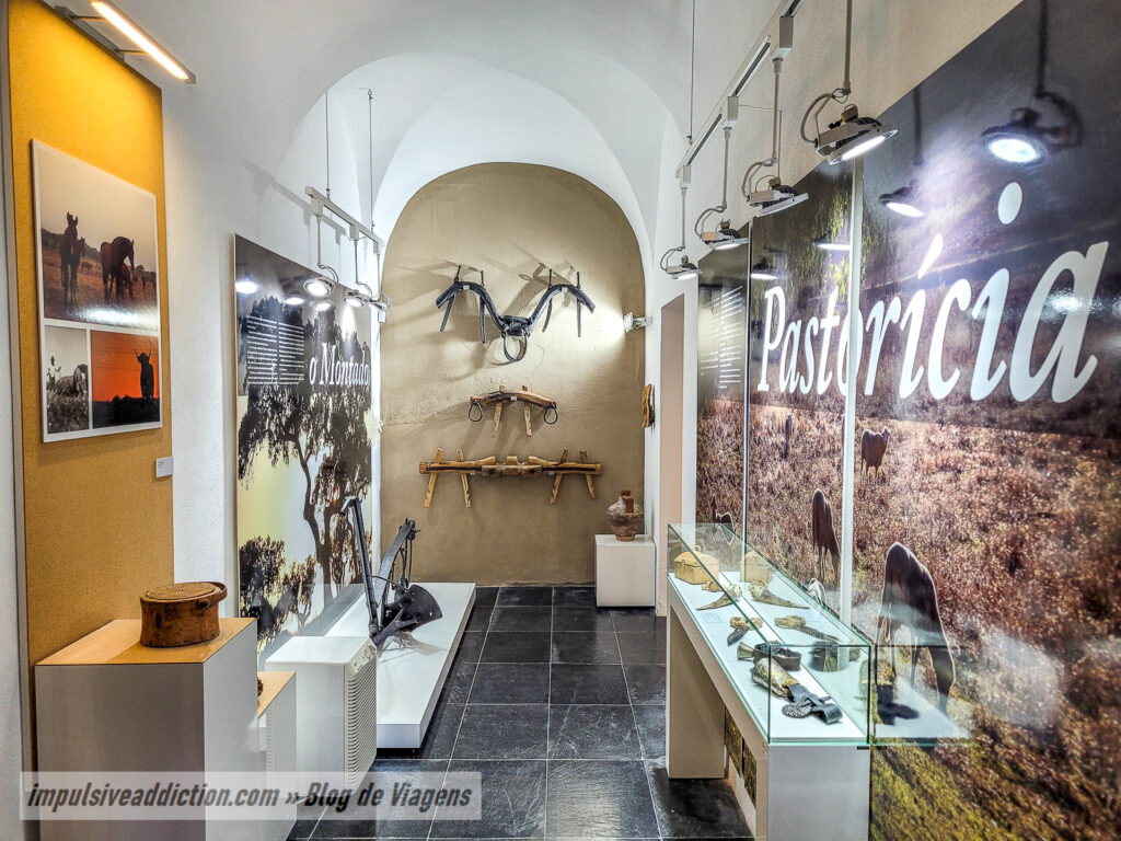 Museu do Palácio do Álamo