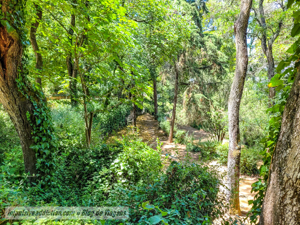 Parque Venâncio Ribeiro da Costa